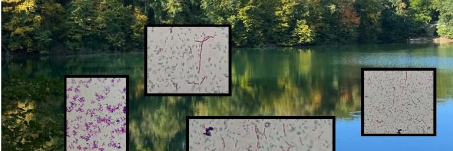 Zagadnienia z zagrożeń chorobotwórczych Zagadnienia z zagrożeń chorobotwórczych