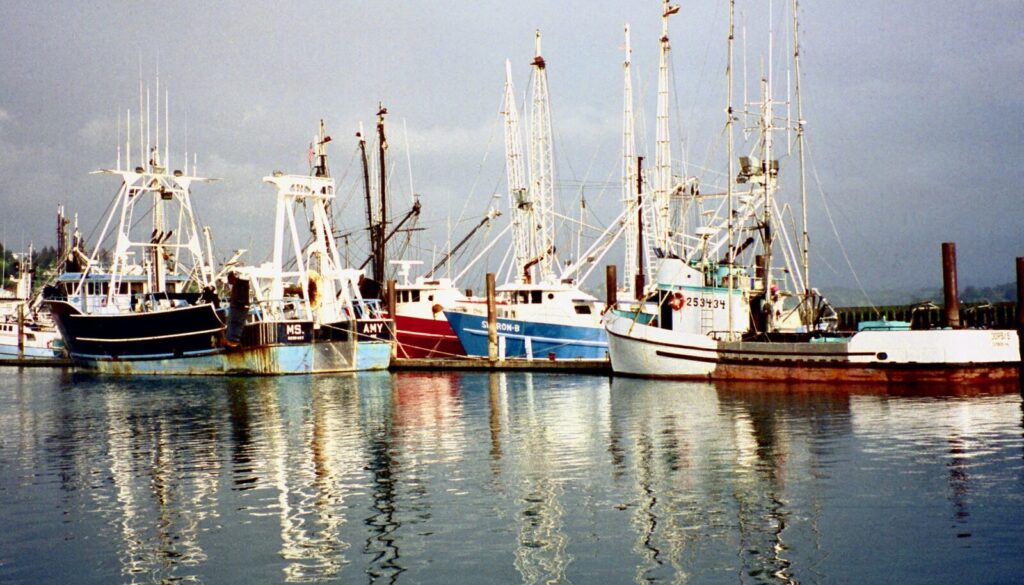 fishing-boats-5962846_1920