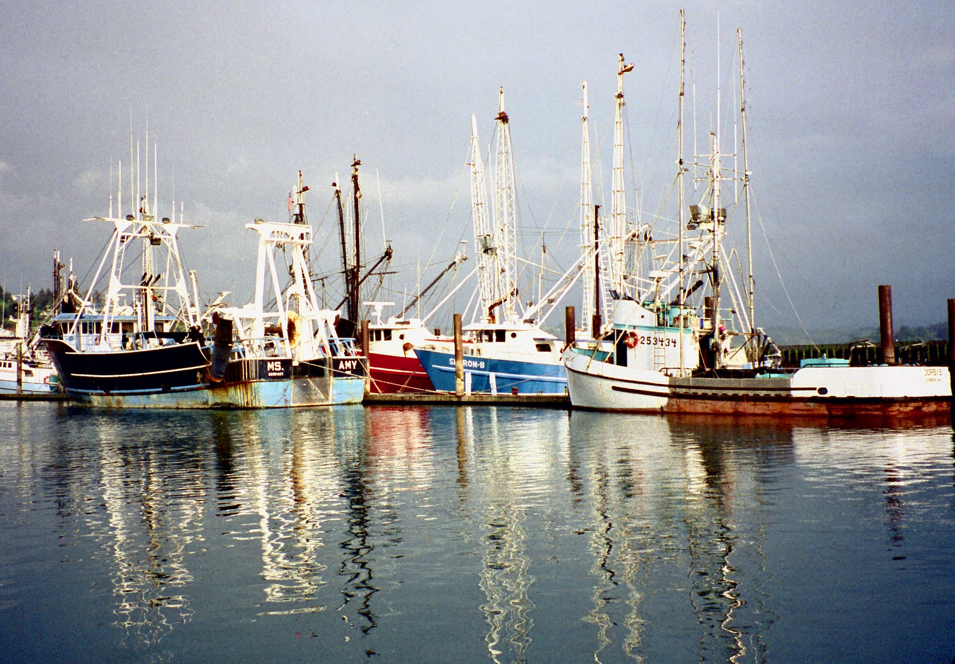 fishing-boats-5962846_1920 fishing-boats-5962846_1920